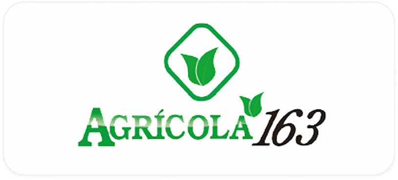 Background+Border+Shadow (1)