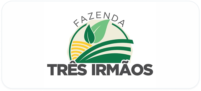 Background+Border+Shadow (2)