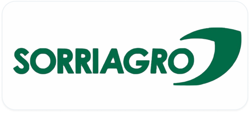 Background+Border+Shadow (8)